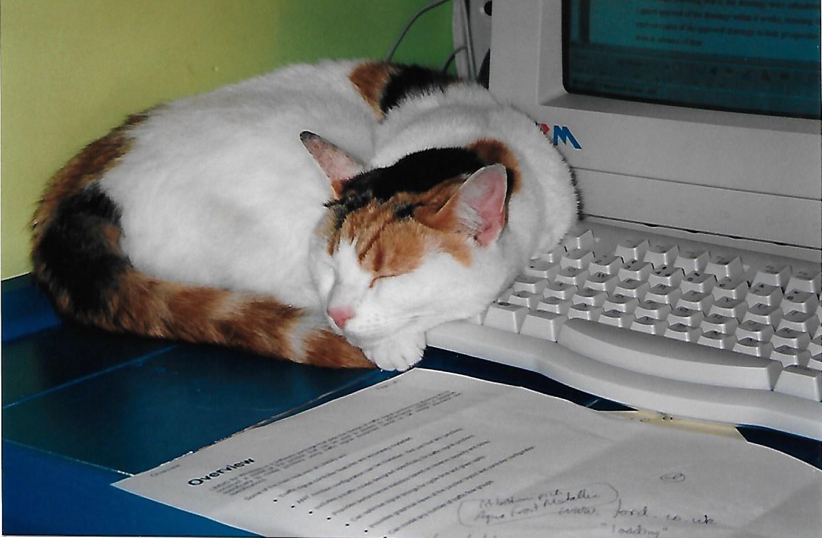 I was last a proud CAT owner in 1999… I’m hopeful that my new @sdltrados Studio 2021 will be more productive than the last one… #cattools #freelancetranslator #translation