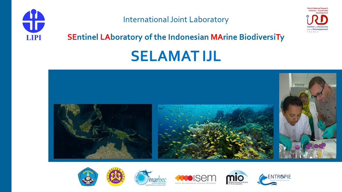 SELAMAT International Joint Laboratory (@selamatijl) on Twitter photo New International Joint Laboratory: SELAMAT in Indonesia, the SEntinel Laboratory of the Indonesian MArine BiodiversiTy, led by RCO-@lipiindonesia & <a href="/umrMARBEC/">Marbec</a> <a href="/ird_fr/">IRD.fr</a> (PIs @YuliaHagi <a href="/RegisHocde/">Hocde</a>) involving <a href="/PoltekKP_Sorong/">Politeknik KP Sorong</a> UNIPA <a href="/isemevol/">isem</a> @MIOceanologie <a href="/UMREntropie/">Entropie - Tropical Marine Ecology Lab.</a> New International Joint Laboratory: SELAMAT in Indonesia, the SEntinel Laboratory of the Indonesian MArine BiodiversiTy, led by RCO-@lipiindonesia & <a href="/umrMARBEC/">Marbec</a> <a href="/ird_fr/">IRD.fr</a> (PIs @YuliaHagi <a href="/RegisHocde/">Hocde</a>) involving <a href="/PoltekKP_Sorong/">Politeknik KP Sorong</a> UNIPA <a href="/isemevol/">isem</a> @MIOceanologie <a href="/UMREntropie/">Entropie - Tropical Marine Ecology Lab.</a>