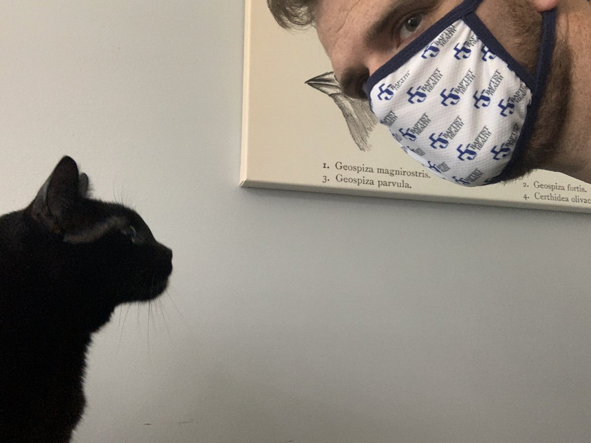 Aaron Odegard MS (He/Him) (@odie0222) on Twitter photo <a href="/FCIDsymposium/">First Coast Infectious Disease Symposium</a> scavenger hunt! Trying to explain social distancing to Darwin #FCID2021
<a href="/Marstiglez/">RaquelMarieMartinez</a> @DrFNA @AsclsF <a href="/FrancesVShelto1/">Dr Frances Valencia-Shelton, PhD, D(ABMM),SM(ASCP)</a> <a href="/ASMicrobiology/">ASM</a> <a href="/GaryProcop/">MicroBytes</a> @melmillerphd <a href="/CVS4Lab/">Carleen</a> <a href="/BurnhamBugDoc/">Carey-Ann Burnham</a> <a href="/Parasite_Power/">Marc Couturier PhD, D(ABMM) 🕷🦠🔬</a> <a href="/ASCP_Chicago/">ASCP</a> @andreaprinzi <a href="/KMirza/">Kamran Mirza MD PhD - کامران مرزا</a> <a href="/JMGardnerMD/">Jerad Gardner, MD</a> <a href="/MelissaUpton7/">Melissa P. Upton, M.D. (she/her/hers)</a> <a href="/FCIDsymposium/">First Coast Infectious Disease Symposium</a> scavenger hunt! Trying to explain social distancing to Darwin #FCID2021
<a href="/Marstiglez/">RaquelMarieMartinez</a> @DrFNA @AsclsF <a href="/FrancesVShelto1/">Dr Frances Valencia-Shelton, PhD, D(ABMM),SM(ASCP)</a> <a href="/ASMicrobiology/">ASM</a> <a href="/GaryProcop/">MicroBytes</a> @melmillerphd <a href="/CVS4Lab/">Carleen</a> <a href="/BurnhamBugDoc/">Carey-Ann Burnham</a> <a href="/Parasite_Power/">Marc Couturier PhD, D(ABMM) 🕷🦠🔬</a> <a href="/ASCP_Chicago/">ASCP</a> @andreaprinzi <a href="/KMirza/">Kamran Mirza MD PhD - کامران مرزا</a> <a href="/JMGardnerMD/">Jerad Gardner, MD</a> <a href="/MelissaUpton7/">Melissa P. Upton, M.D. (she/her/hers)</a>