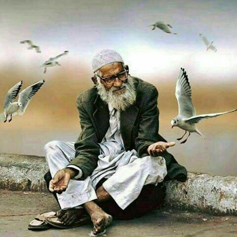 KBiometric's tweet image. سیاره‌ى ما؛
دیگر نیازى به آدم‌هاى موفق،مغز متفکر،رهبر  و بزرگ قومی  ندارد! 
این سیاره به شدت نیازمند افراد صلح جو، درمانگر، وطن دوست دارد تا کشور را نجات دهند.