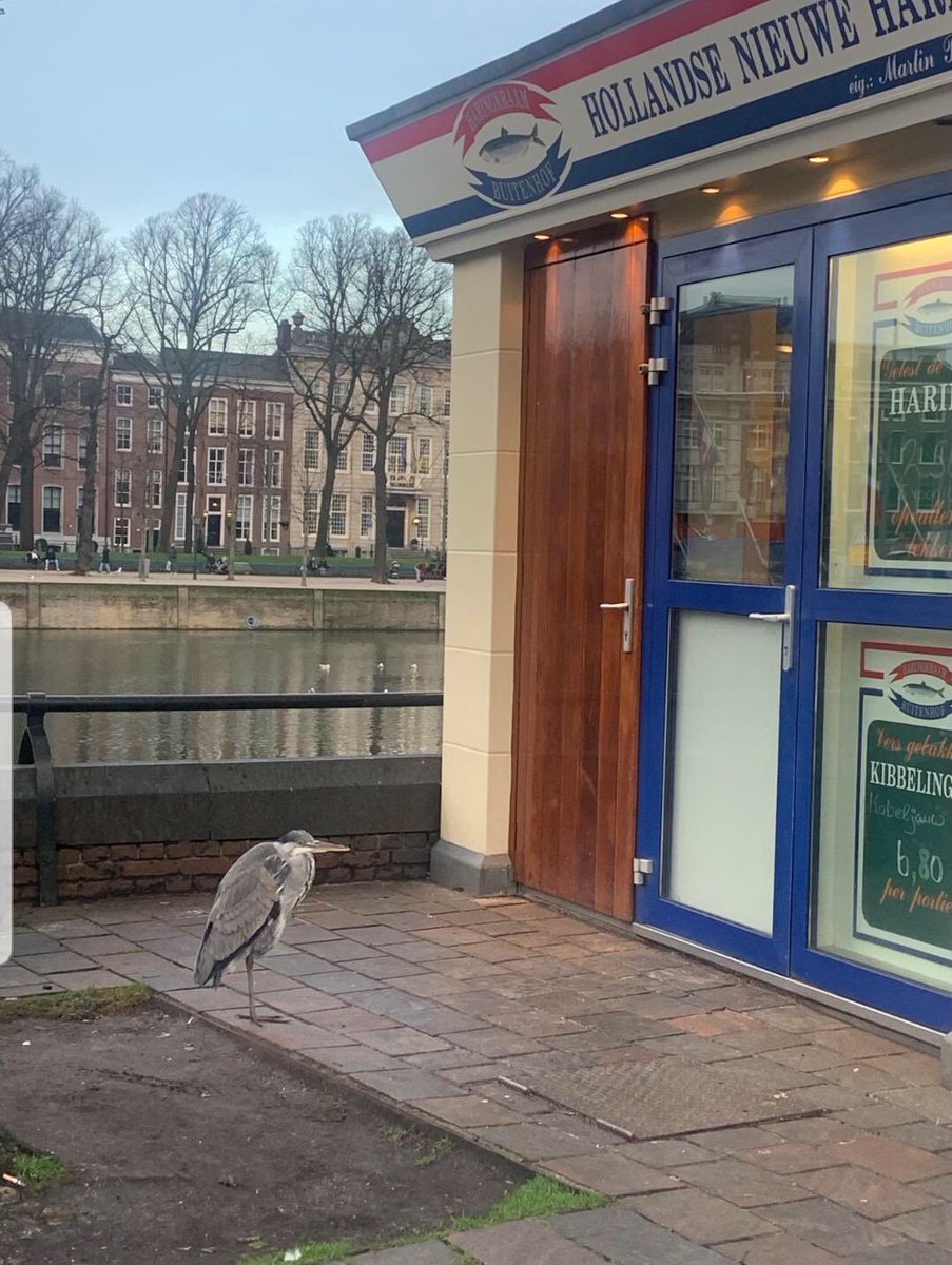 Daar sta je dan, tijdens de lockdown. Het kan nog best verwarrend zijn.
(Open de foto even voor de verrassing) 

Hoe gaat u met de #lockdown om?

#visserij #horeca #middenstand #retail #hrm #management #leiderschap