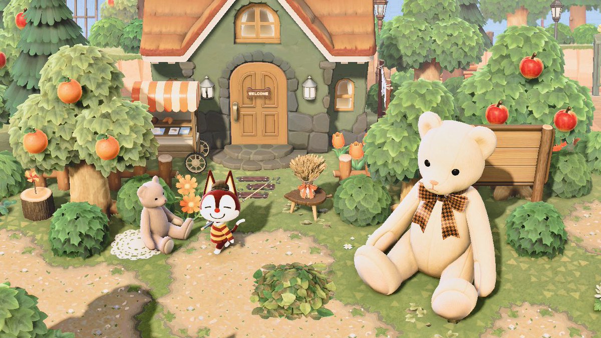 ジャコテンくんお迎えしました🐤🐾