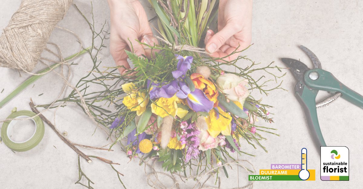 Er is ruime keuze uit 160 duurzame bloemisten gecertificeerd met Barometer Duurzame Bloemist. 💐

De voordelen voor de bloemist en de duurzaamheidsambities van @Fleurop_nl, <a href="/MijnFloraNL/">FloraNL</a>, <a href="/Duurzamebloem/">Duurzame Bloemisten</a> en VBW dragen bij aan de stijging. 📈

Lees verder: bit.ly/RuimeKeuze