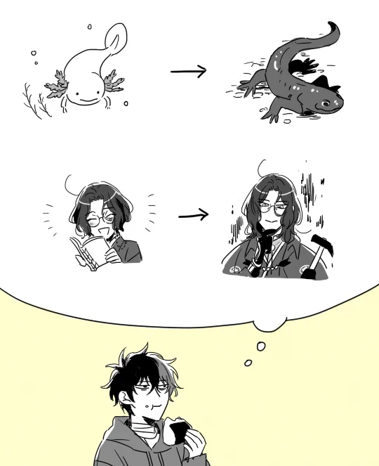 わくわく両生類 