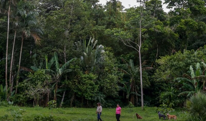 Preparing for a Sustainable Future trendhunter.com/keynote/achim-… #Keynotes