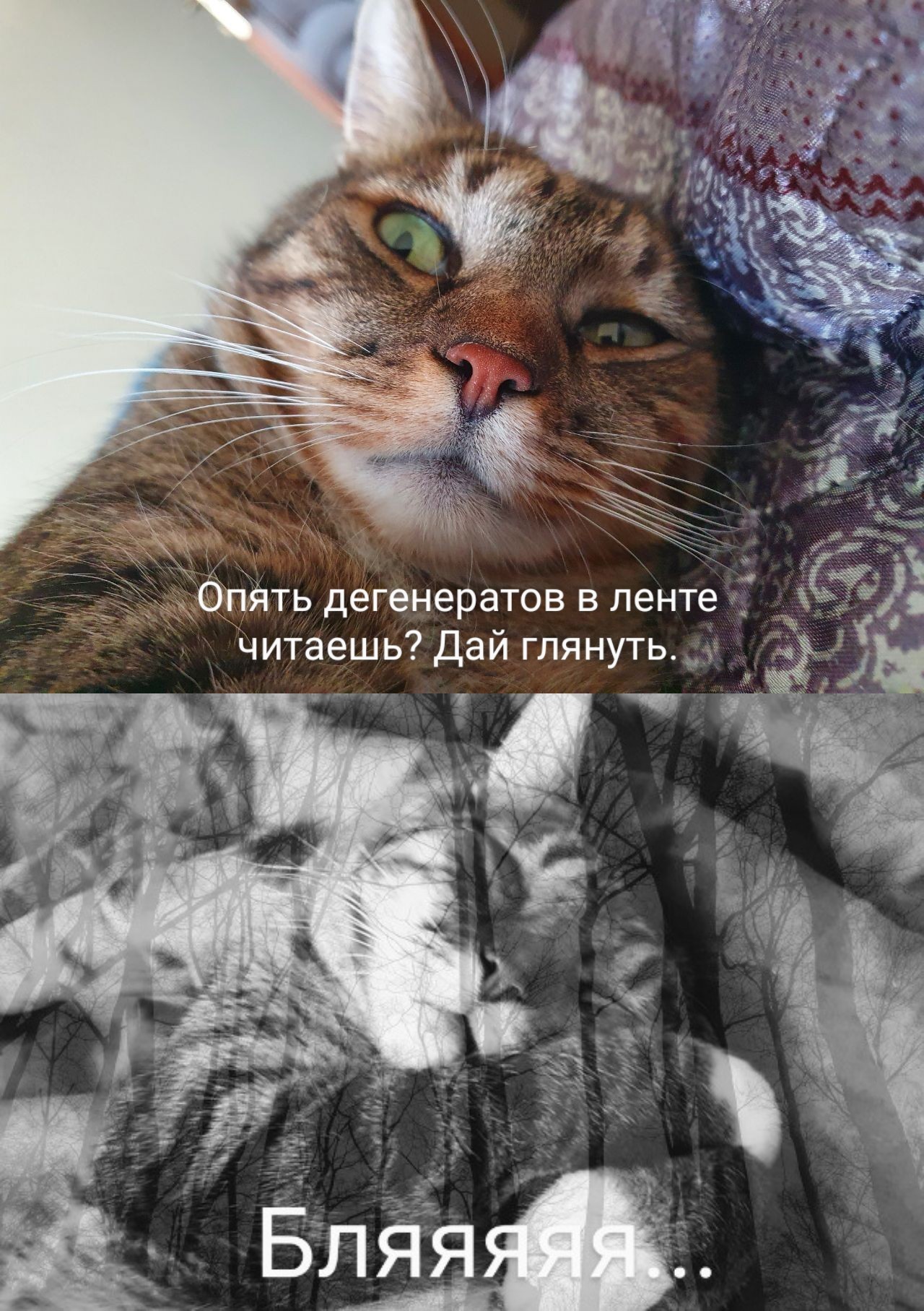 Etdsk-uXIAIOUDg?format=jpg&name=large