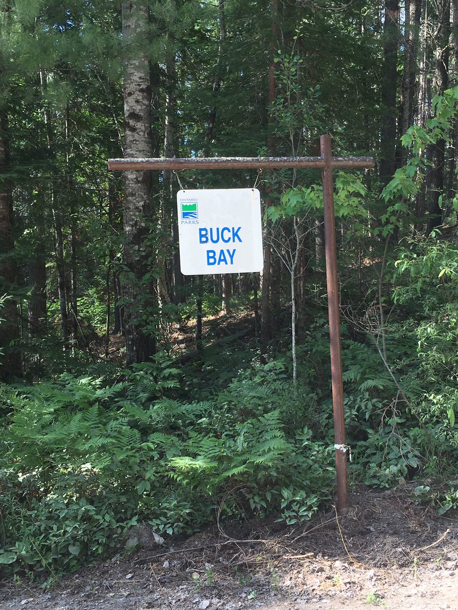 Learning to run remote calls in full PPE. Turns out bugs aren’t at all slowed down by all the garb. 4/