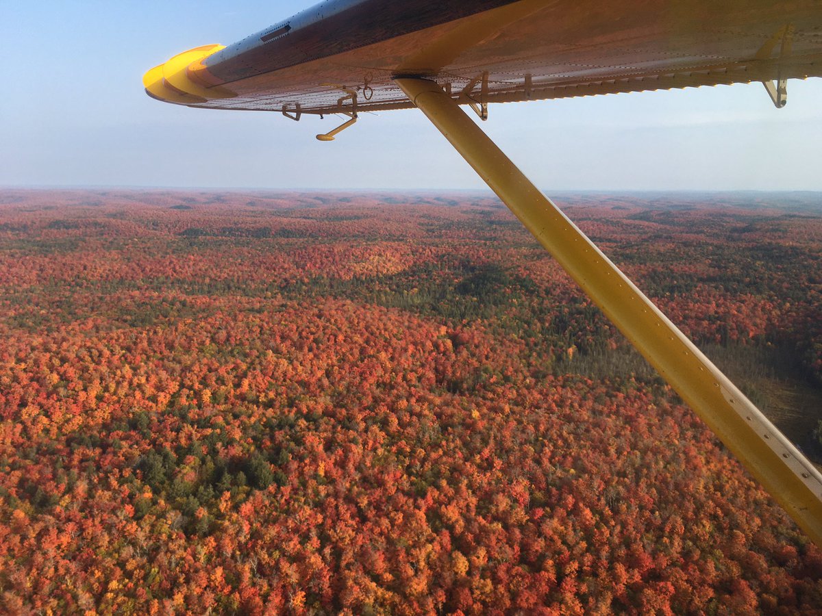 Just a routine fly-in extrication. In and out then back to regular paramedic duties in less than half a shift9/