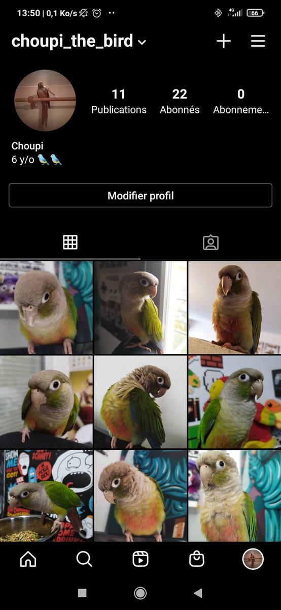 Tweet media one