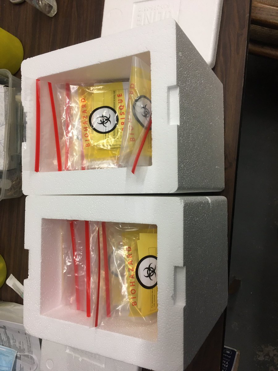 Ongoing swabbing throughout the entire year along with high risk transfers and in-home assessments. 11/