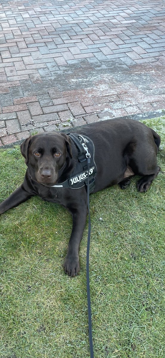 Bono’s Da ✊120🏆🍀 tweet media