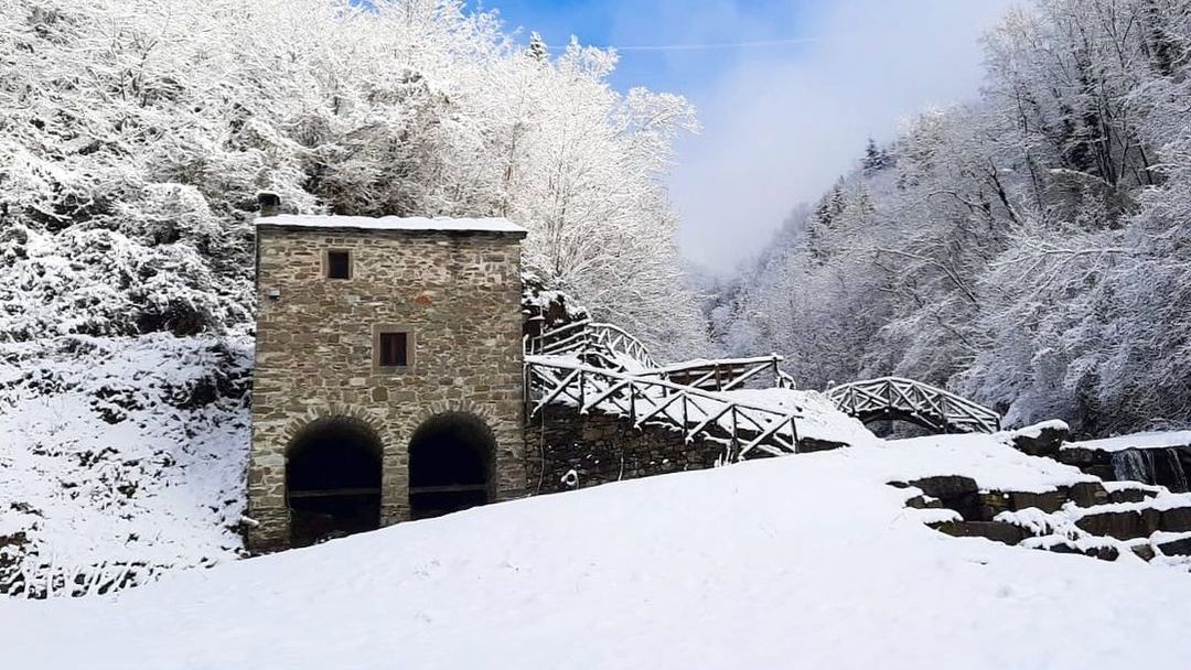 L'itinerario della vita quotidiana è un viaggio nell’esistenza della comunità della Montagna Pistoiese, un’esperienza tra le abitudini e i mestieri di un tempo. Scopri i sei percorsi dell'Ecomuseo: https://t.co/LAKzlWRCvD
📷 Il Molino di Giamba di Orsigna https://t.co/ulhM1y4zBw https://t.co/52NWc1xEWW