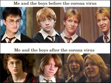 MuggleNet's tweet photo. Harry Potter and the Months of Isolation. #PotterMeme #GobletOfFire https://t.co/xqvPDvpnLS