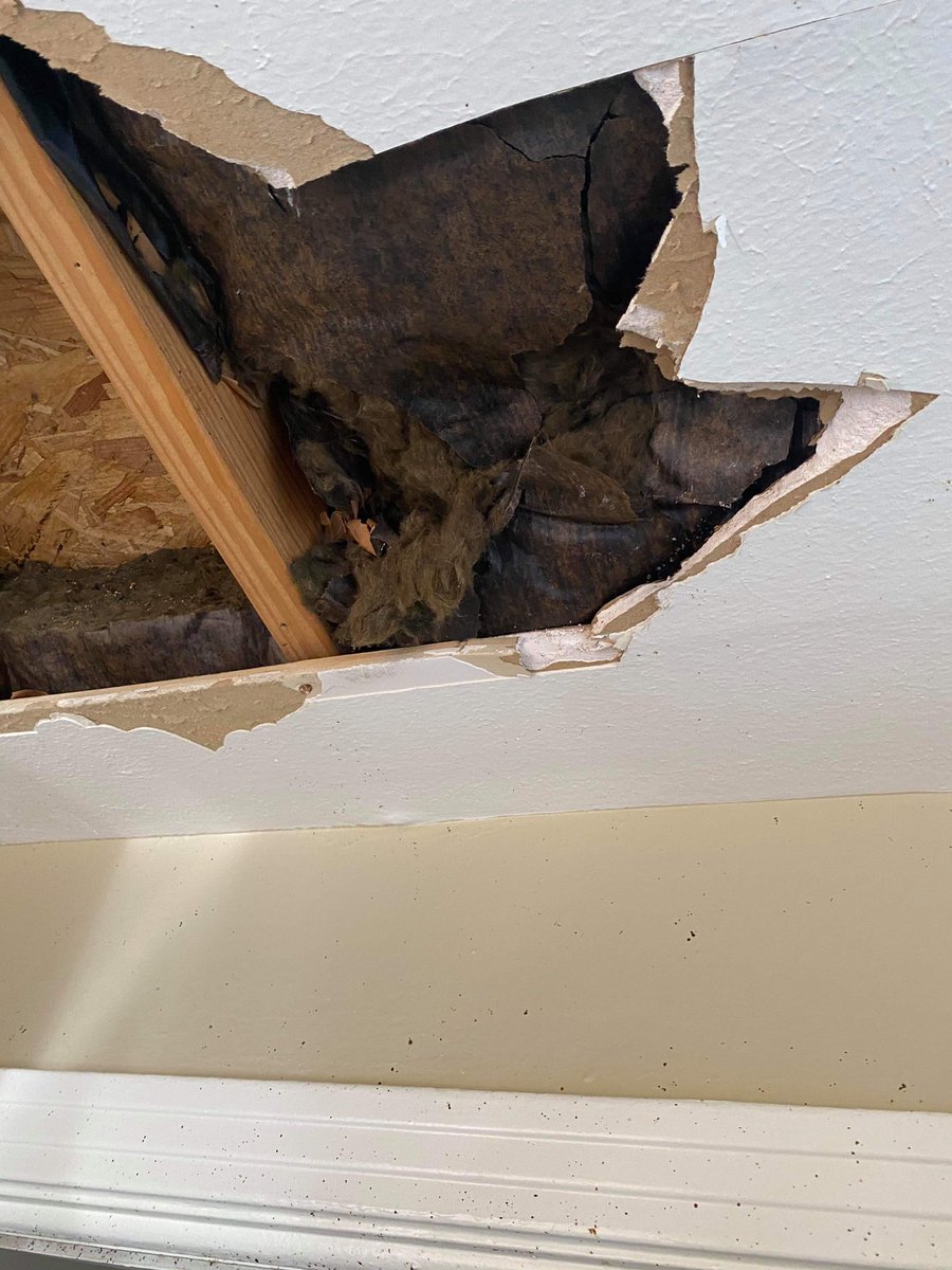 court_hami's tweet image. Let see those “improvements” @16thSMA was talking about that housing has made in the last 3 months...I’ll start 😉@forthood