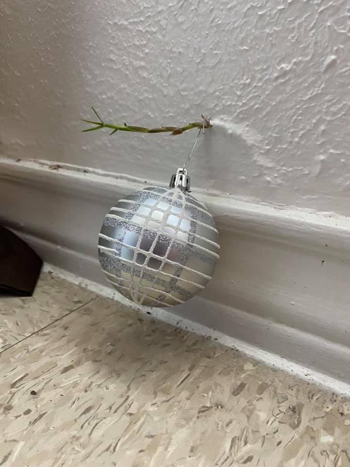 court_hami's tweet image. Let see those “improvements” @16thSMA was talking about that housing has made in the last 3 months...I’ll start 😉@forthood