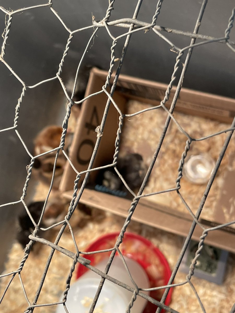 Rich Booth tweet media