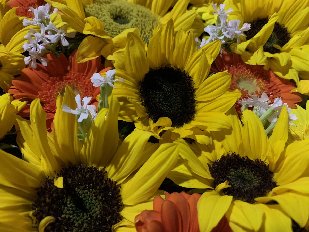 Uzivatel 石田花店 Na Twitteru 野見神社様の花手水の入れ替えに伺いました 今回のテーマは 笑顔 です 本日2月５日のニコニコ 笑顔の日 にちなんで作成 ヒマワリ 花言葉 憧れ あなただけを見つめる Nomishrine 石田花店 Tel 072 675 0338 高槻 高槻市