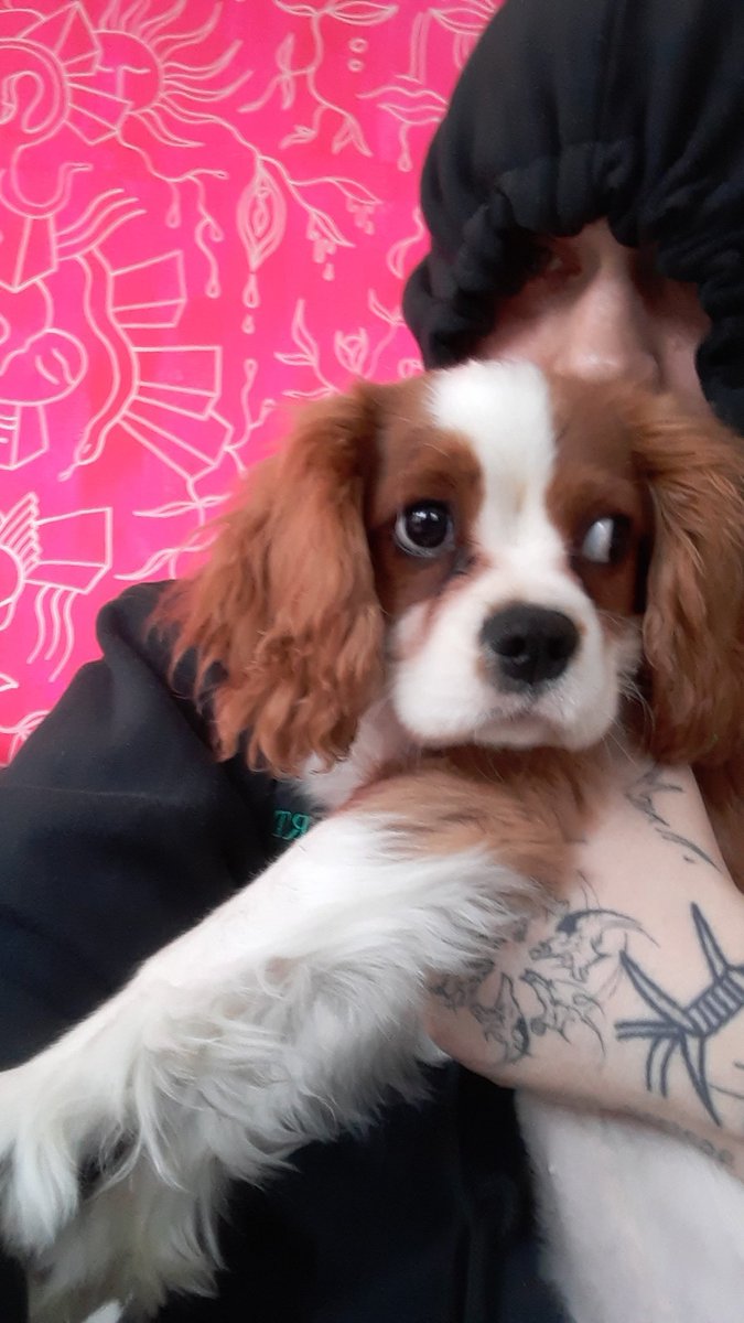 VARG2TRADEMARK tweet media