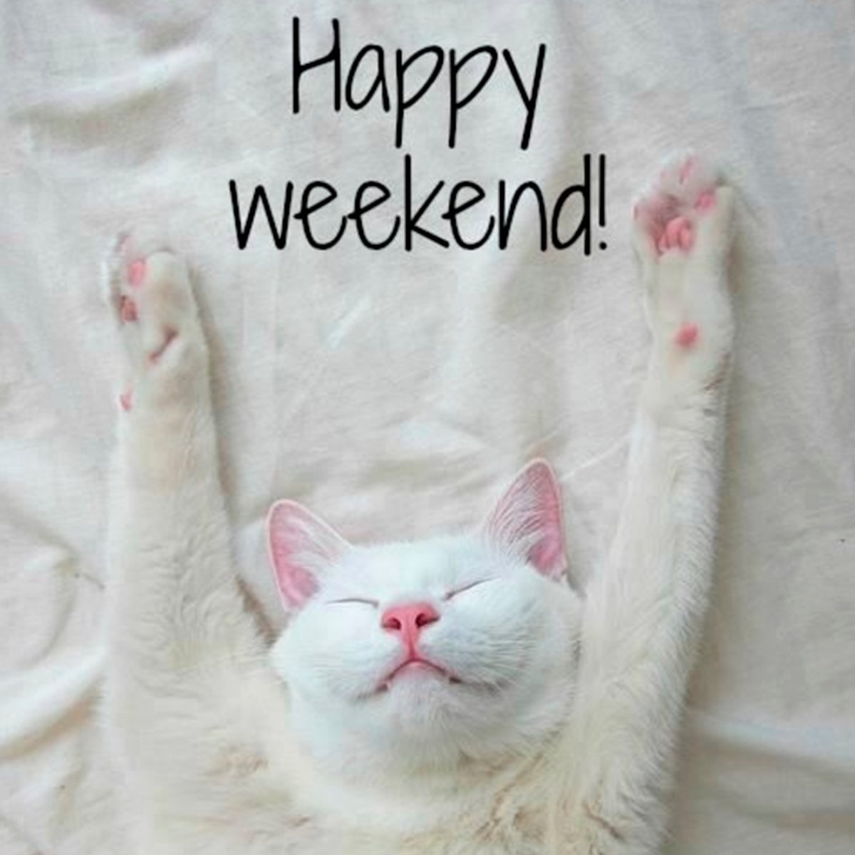 PDIclub's tweet photo. Happy Weekend!✨
Relax nothing is under control.

#pdiclub #Saturday #Sunday #happy #weekendvibes https://t.co/XLucdmjDkd