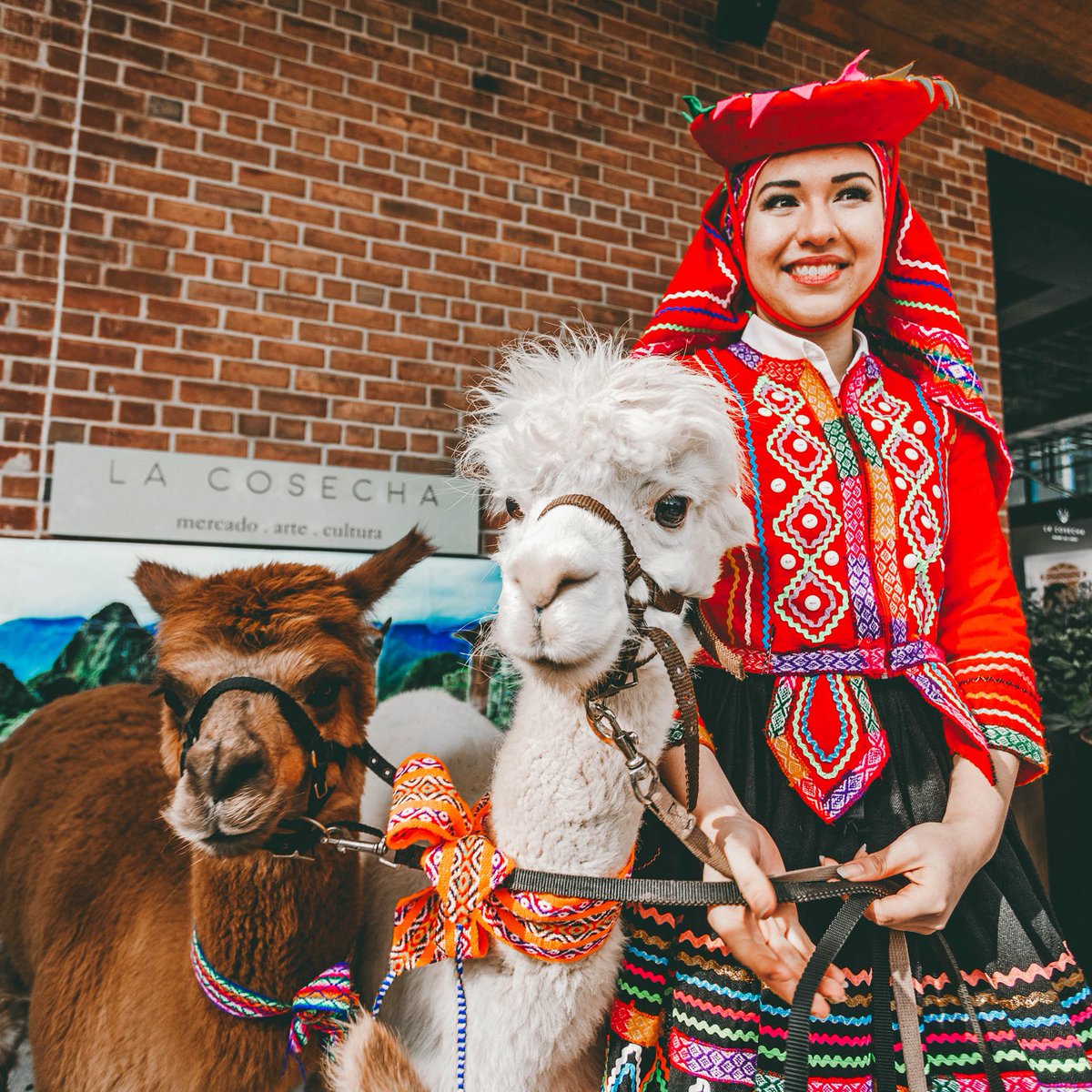 Peruvian Brothers (@perubrothers) on Twitter photo See you tomorrow at La Cosecha Latin Market! Weāll be celebrating Pisco Sour Day with all our friends š¦š¦š¦ā£
šµšŖ La Cosecha⣠Latin Marketā£ā£ā£ā£
š1280 4th St NE, Washington DCā£ā£ā£ā£ā£
ā° 10:00 AM - 9:00 PMā£ā£ā£
š¹Happy Hour 4-6pm for Pisco Sour Slushie Specials! š¹ā£ā£ā£ See you tomorrow at La Cosecha Latin Market! Weāll be celebrating Pisco Sour Day with all our friends š¦š¦š¦ā£
šµšŖ La Cosecha⣠Latin Marketā£ā£ā£ā£
š1280 4th St NE, Washington DCā£ā£ā£ā£ā£
ā° 10:00 AM - 9:00 PMā£ā£ā£
š¹Happy Hour 4-6pm for Pisco Sour Slushie Specials! š¹ā£ā£ā£