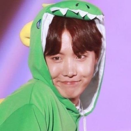 btsblob's tweet photo. hobi dinosaur 🦖 https://t.co/pgQbgY939q