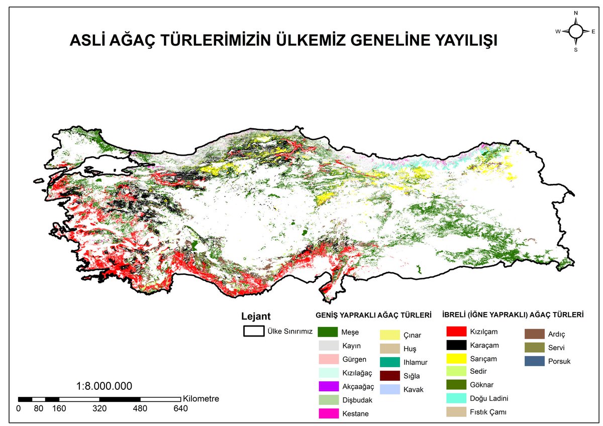 Ülkemiz yüzölçümünün %29,4’ünü ormanlar oluşturuyor. Ormanlarımızda en fazla yayılış gösteren ağaç türümüz ise; kuvvet ve kudretin sembolü Meşe🌳