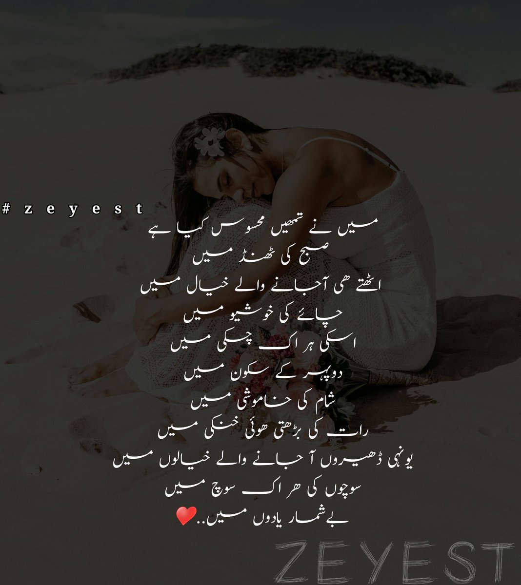 zeyest1's tweet photo. #زھرا
#زیست
┏╮/╱🌸
╰ 🌼 ╮ #zeyest ❤❤
╱/ ╰┛🌸 https://t.co/GxWrZDaeGu