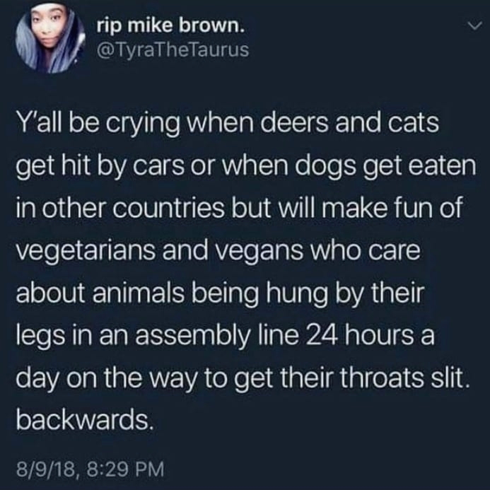 Comment below! 👇🏼
🐮🐶🌱🍇🥬 
📸: @veganalysis
(📷 Credit to the respective owner(s))

.
.
.
.
#animallover #veganism