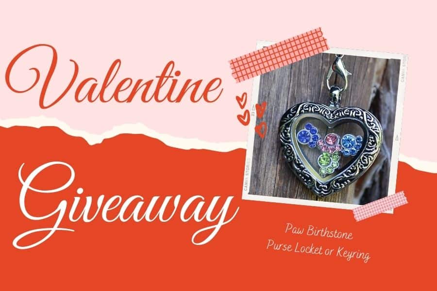 There are only a few days left to enter our #giveaway for the chance to #win a @PawZaar paw birthstone purse locket/key ring, which holds up to 4 paw print birthstone charms to celebrate your dog's birthday or adoption date! https://t.co/XrLzFOwCKX https://t.co/gVs5FT1eKB