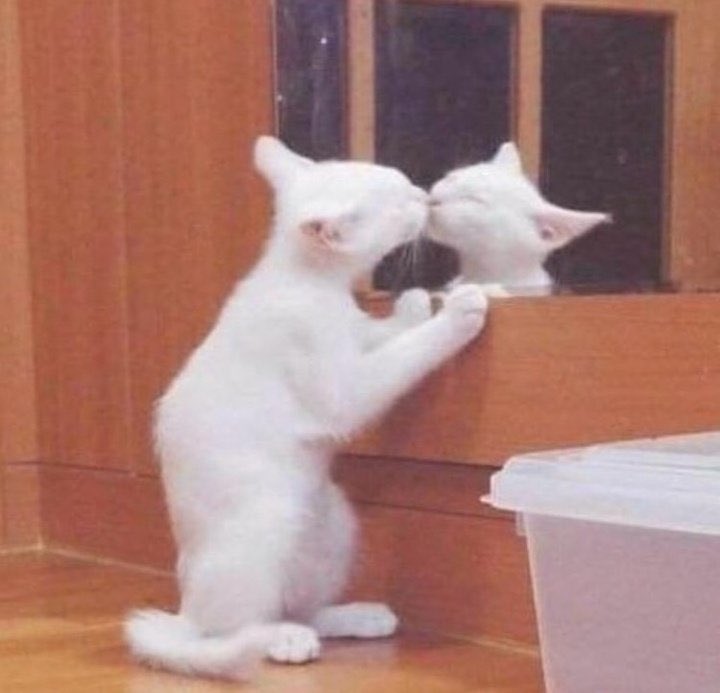 Me..