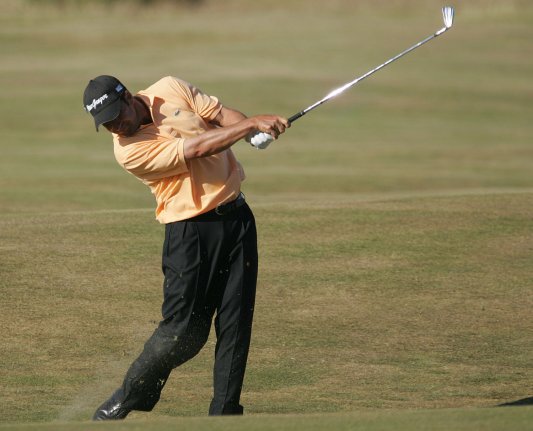 doglegpar3's tweet image. 