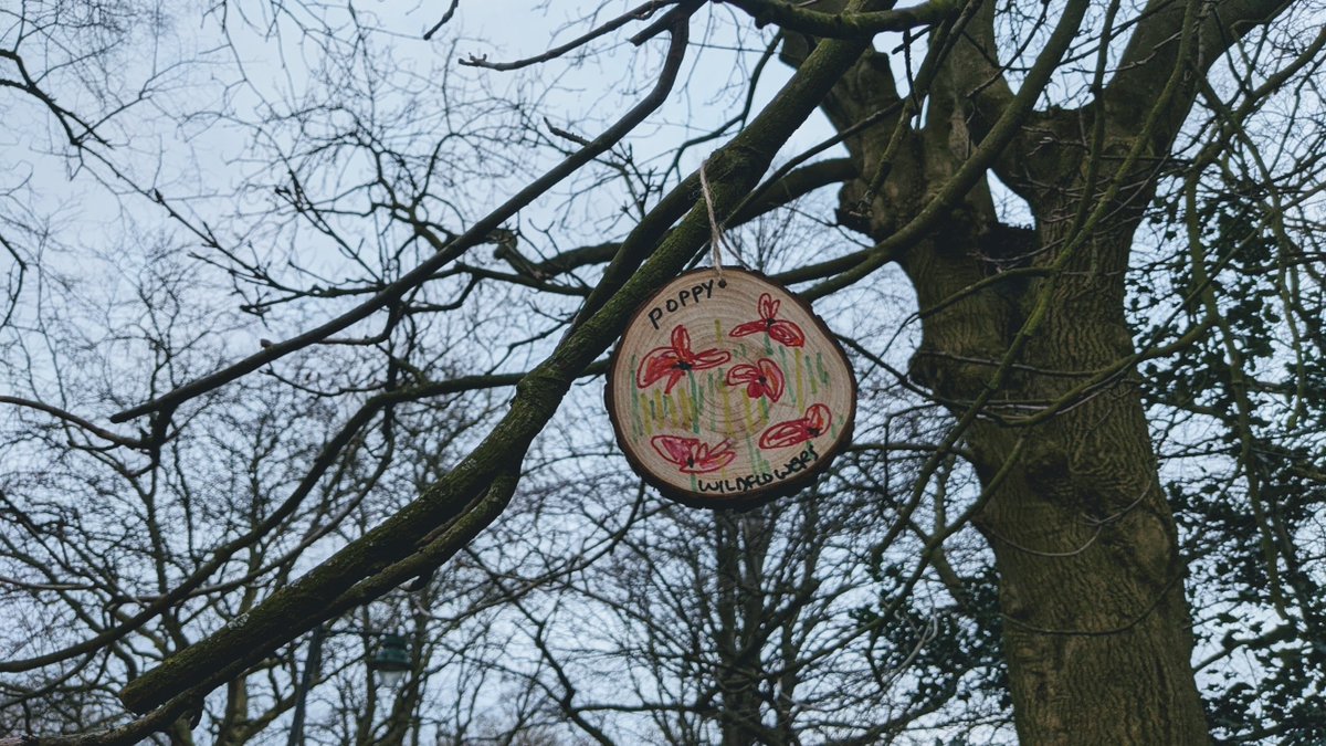 OTcreativespace's tweet photo. One of the things to do in February is find all 15 Wildflower drawings on wooden disks in @HullardPark and see if you can work out the secret message (letters on are on the back).
Share what you love about the parks and #staycreativeot https://t.co/Hc8hK9i1xV