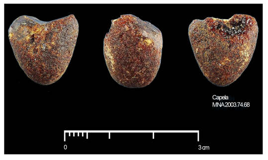 Sobre el ámbar es tradicional pensar en un origen báltico (hubo gran circulación del mismo durante la Edad del Bronce en Europa) pero para el Calcolítico peninsular parece predominar tanto ámbares cretácicos locales como también alguno exótico, siciliano.