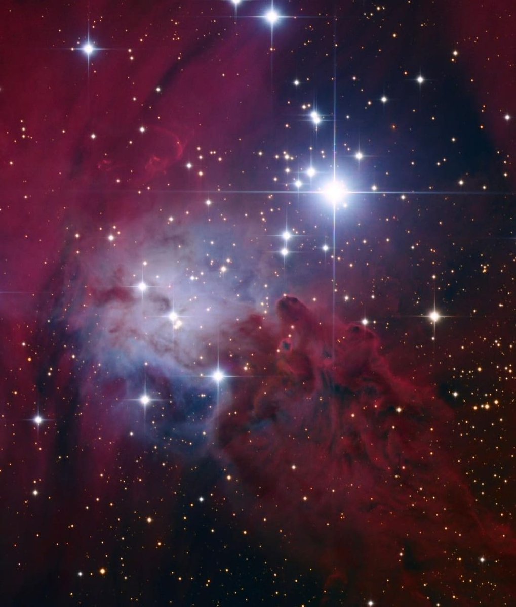 SciLynk's tweet image. This amazing snap of the Fox Fur Nebula shows ionized hydrogen gas in red and re-emitted light from interstellar dust in blue.
📷 @greg_turgeon
#SciLynk
#curiously_exploring_science
#science_for_all
#science #space #nebula #hydrogen #oxygen #astrophotography #PhotoOfTheDay #photo