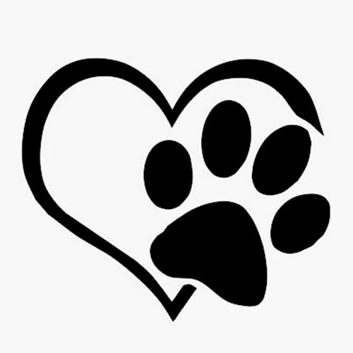 GEDVAnimal's tweet photo. ❤🐾 https://t.co/q2rb2IDIvt