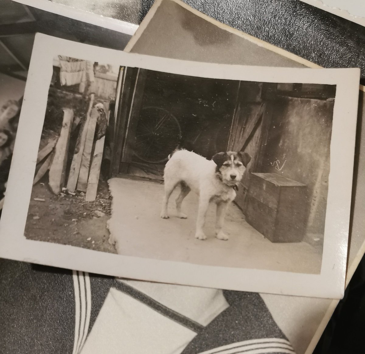 Looking forward to a weekend of digging. Some burning questions - who sent this, and why? Is it a coincidence it's arriving almost 72 years to the day since it was first posted? And, most importantly, who is this historical pupper?