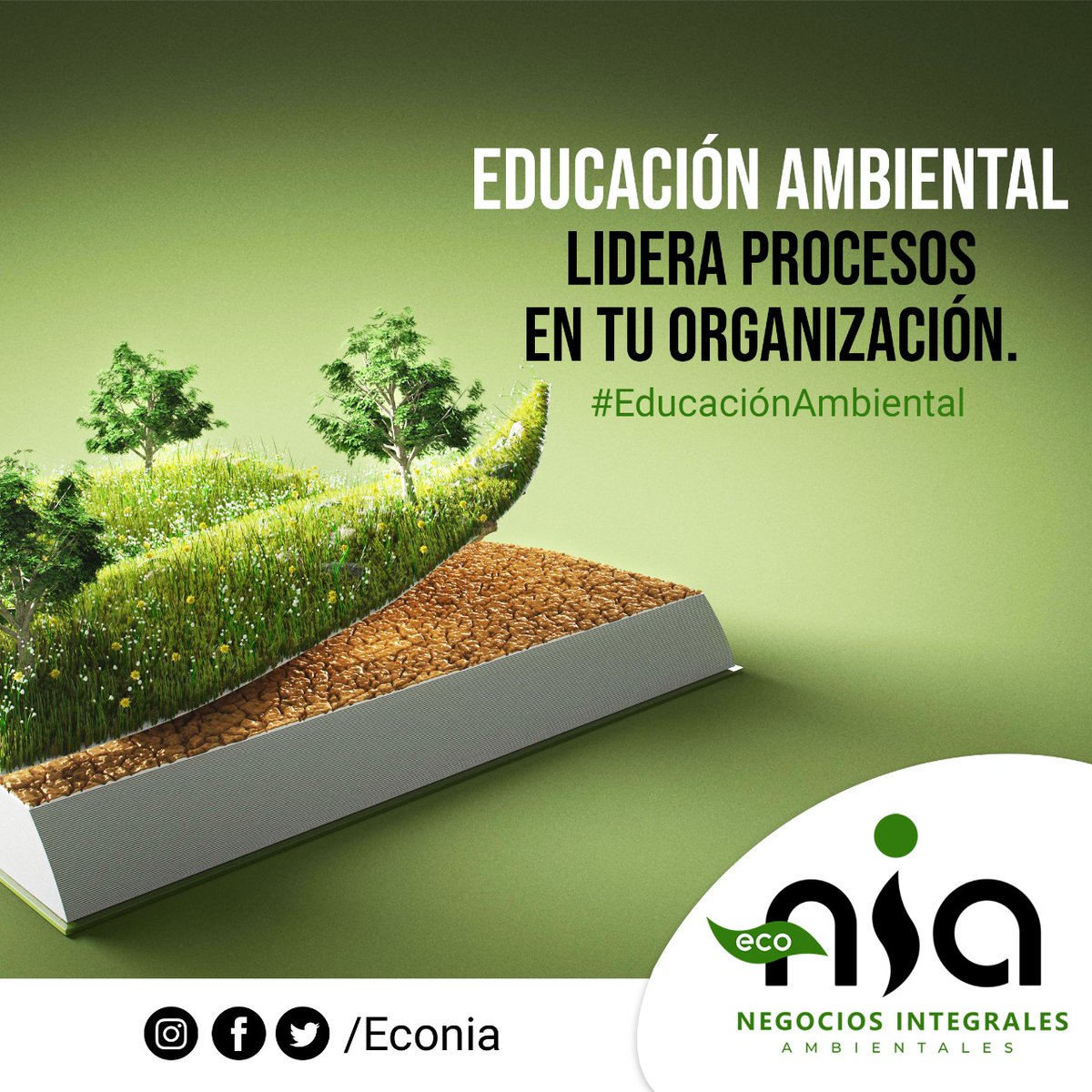 NIANegocios's tweet photo. #FelizViernes En ECONIA le apostamos a la Educación Ambiental. Por ello te brindamos una serie de tips, consejos para tener en cuenta y ayudar a mejorar el medio ambiente.🌿💦🙏
#econia #concienciaambiental #hoy5 #felizdia #somoseconia #medioambiente #febrero5 #educacionambiental https://t.co/p0lV6ydfHD