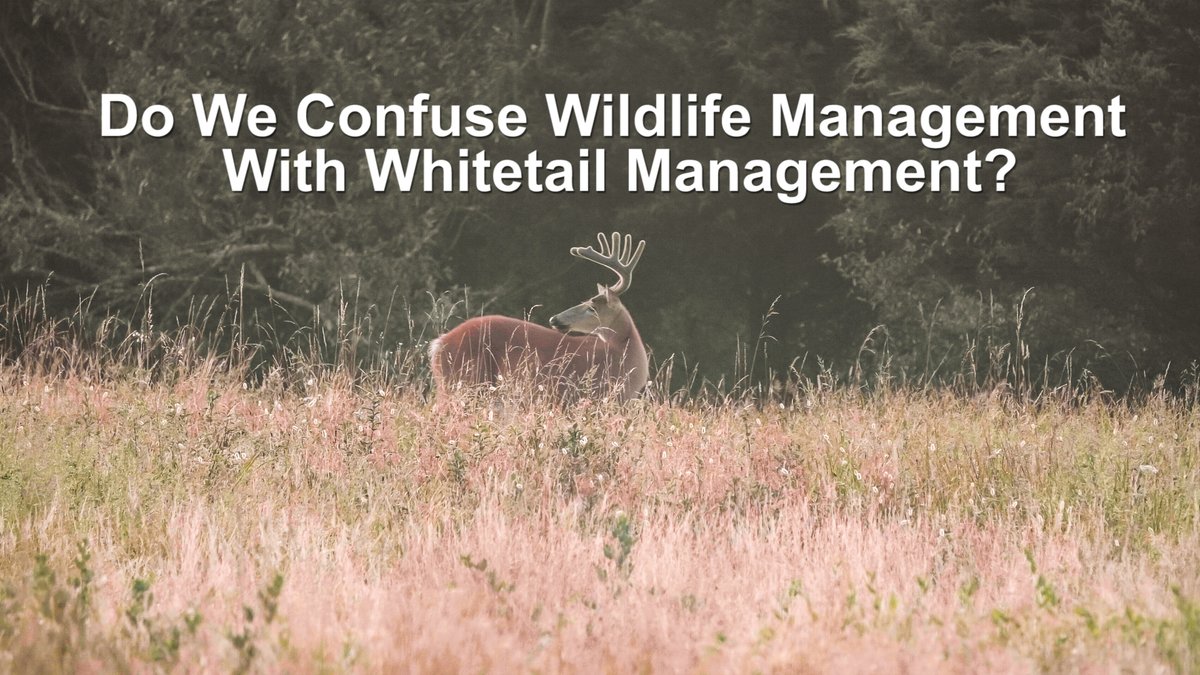 TheDHP_'s tweet photo. Do We Confuse Wildlife Management With Whitetail Management?

That's the topic of this week's Friday Fact or Fiction!

https://t.co/Jq2KccPZwL

#hunting #deerhunting #wildlifemanagement https://t.co/KjWp4H2Ema
