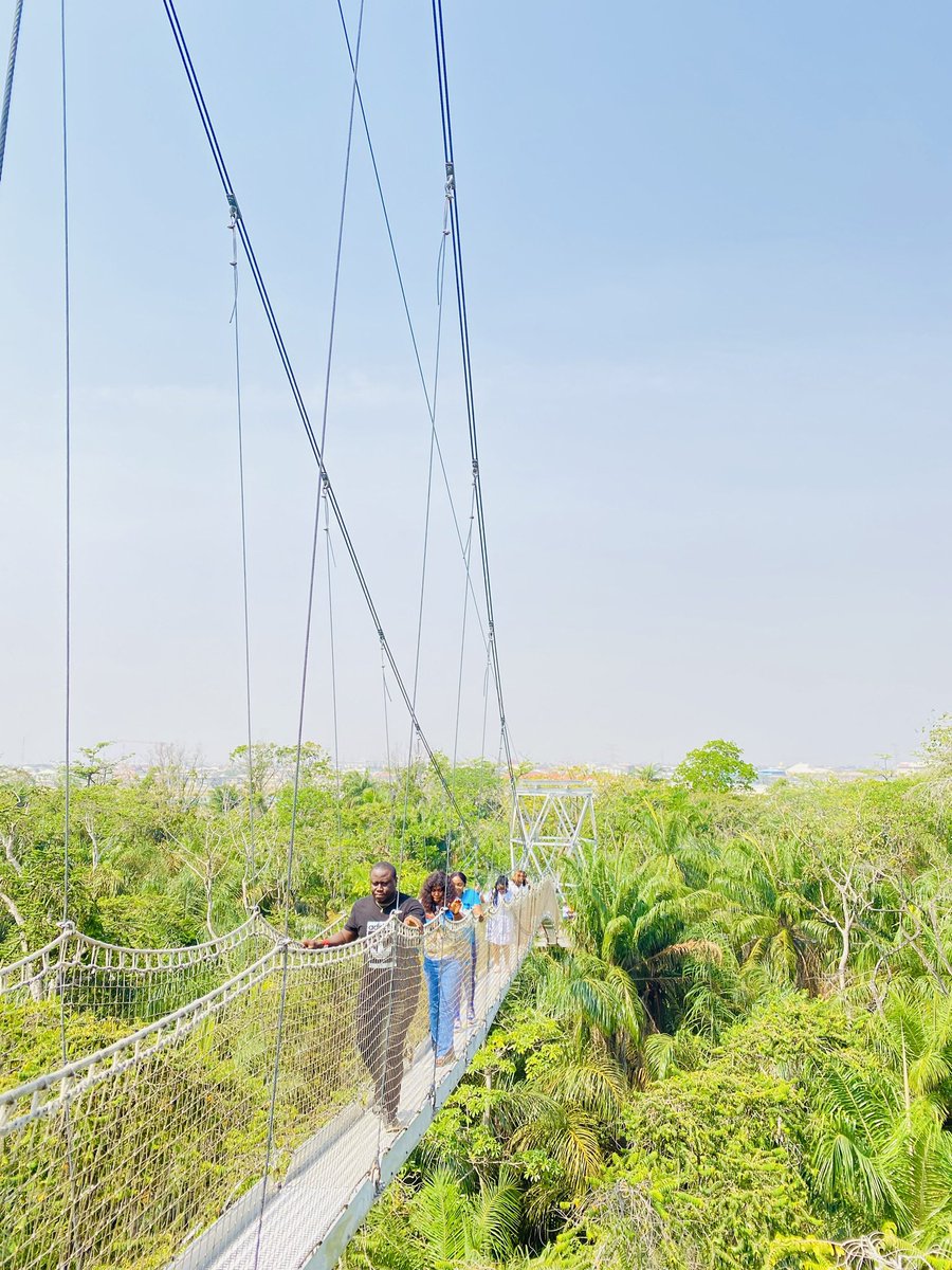 5. Lekki Conservation Centre: this is one place that you’d never get tired of visiting. It is a hub of nature, from the thick vegetation to the monkeys and other animals, you’d fall I lobe with LCC if you’re big on nature. If you love adventure you can also go on the canopy walk.