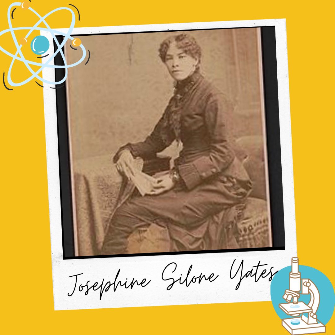 MahoganyMermaids | STEM Non-profit tweet media