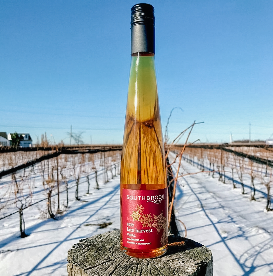 Have you tried the @southbrookvineyards 2019 Late Harvest Vidal?  It was picked in the deep cold of night on their estate and pressed in the morning sunshine to extract sweet, concentrated juice for this small lot Late harvest wine. 

#DiscoverSomewhereness #terroir  #VQA #ONwine