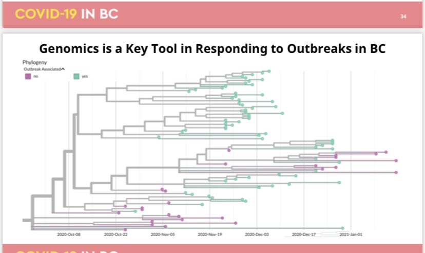 Genomics graphics suggest more than 4500 cases have been tested for variant strains, but on Monday, Dr. Henry suggested more than 11,000 tests have been reviewed.  #bcpoli  @NEWS1130