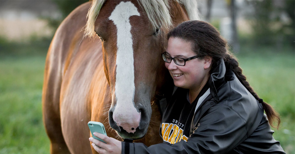 Horse Canada tweet media