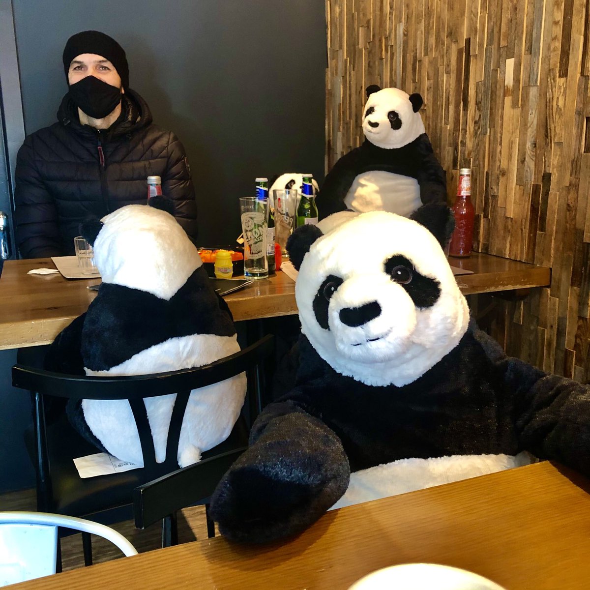 DeirdreAPower's tweet photo. Coffee with the #pandas ...sure what else you would be doing on a cold morning in Limerick ⁦@italianfoodie⁩ #coffee #limerick ⁦@Limerick_Leader⁩ ⁦@Limerick_ie⁩ ⁦@Live95Limerick⁩ ⁦@limerickpost⁩ ⁦@UL⁩ https://t.co/UAKpax96XN