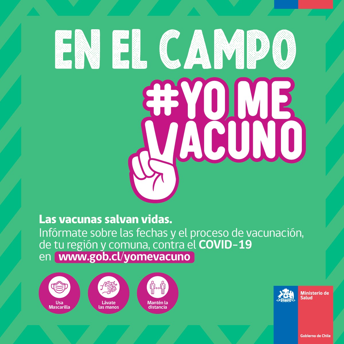 ¿Sabías que más del 17% de los adultos mayores 👴👵  viven en zonas rurales?  Ayúdanos a cuidar nuestro mundo rural vacunándote contra el #Covid19. Más información en gob.cl/yomecuido/ 
#PorMásVidaRural #YoMeVacuno