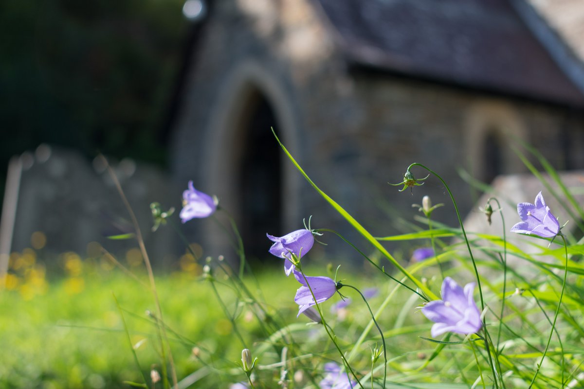 godsacre's tweet photo. Our next webinar is next Wednesday 2.30pm
'Blooming and Beautiful' how to manage your burial site for wildflowers
Info on webinars on our website
To book a place simply e-mail anna@cfga.org.uk
https://t.co/0p3STsQIQo
@HeritageFundUK
#supportedbynationallottery https://t.co/0DRkcoE24y