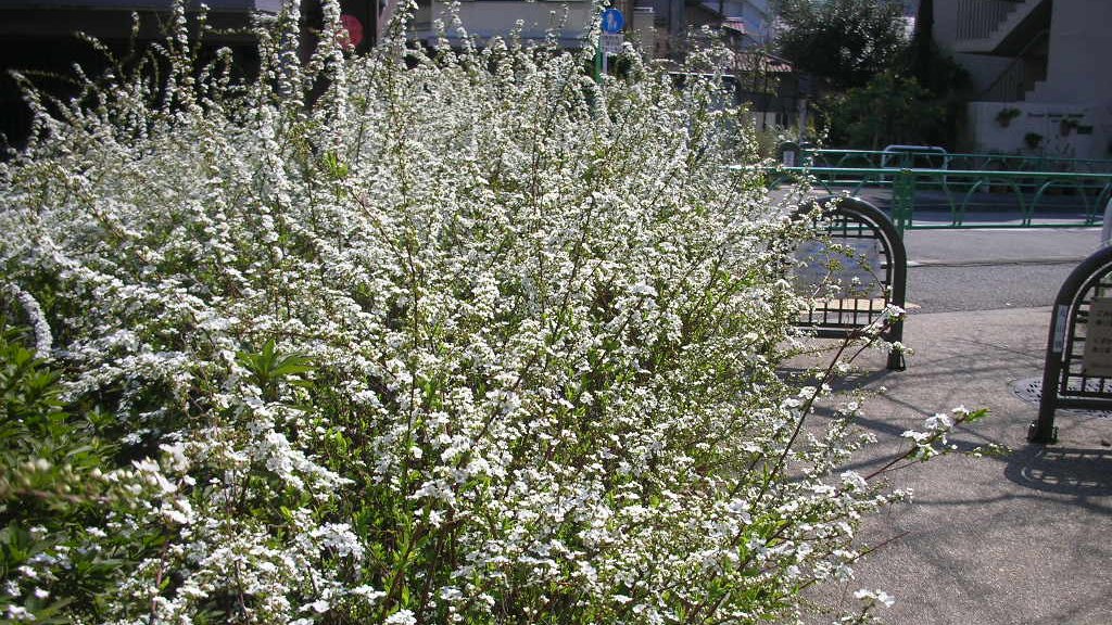 tanosiisupi_bot's tweet image. 「怖れから諸々をコントロールしようとしていた」
気付きが原動力となり
起こってくる事と自然な流れに任せる

ただ自分を開く
ascension2011.jugem.jp/?eid=1281
〔重い世界から反転する〕
#entrust #委ねる