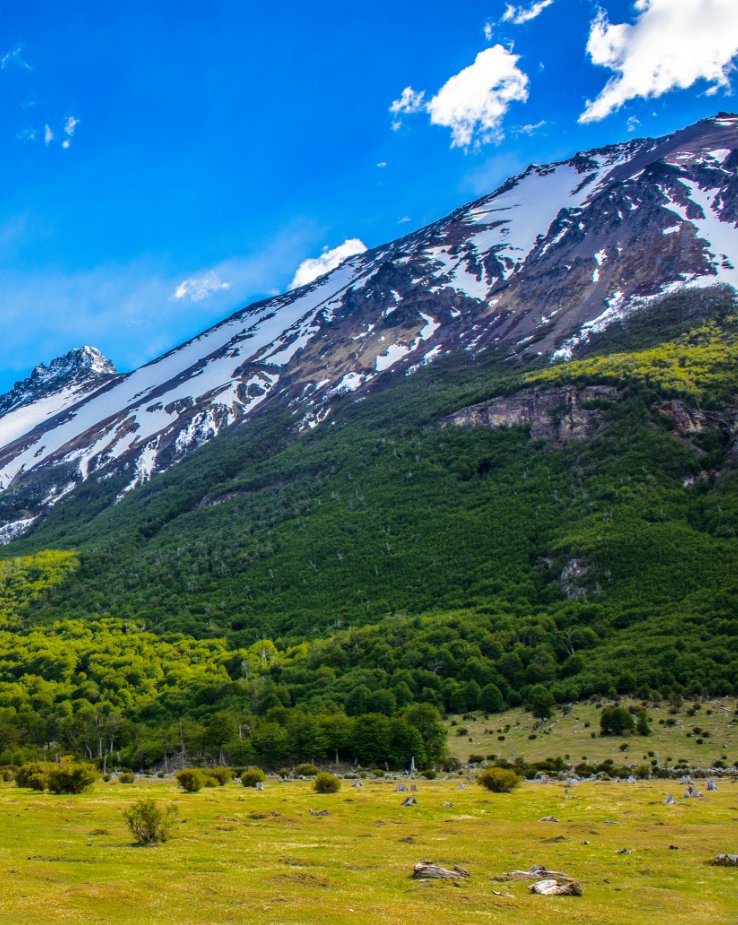 Visit Argentina EN tweet media