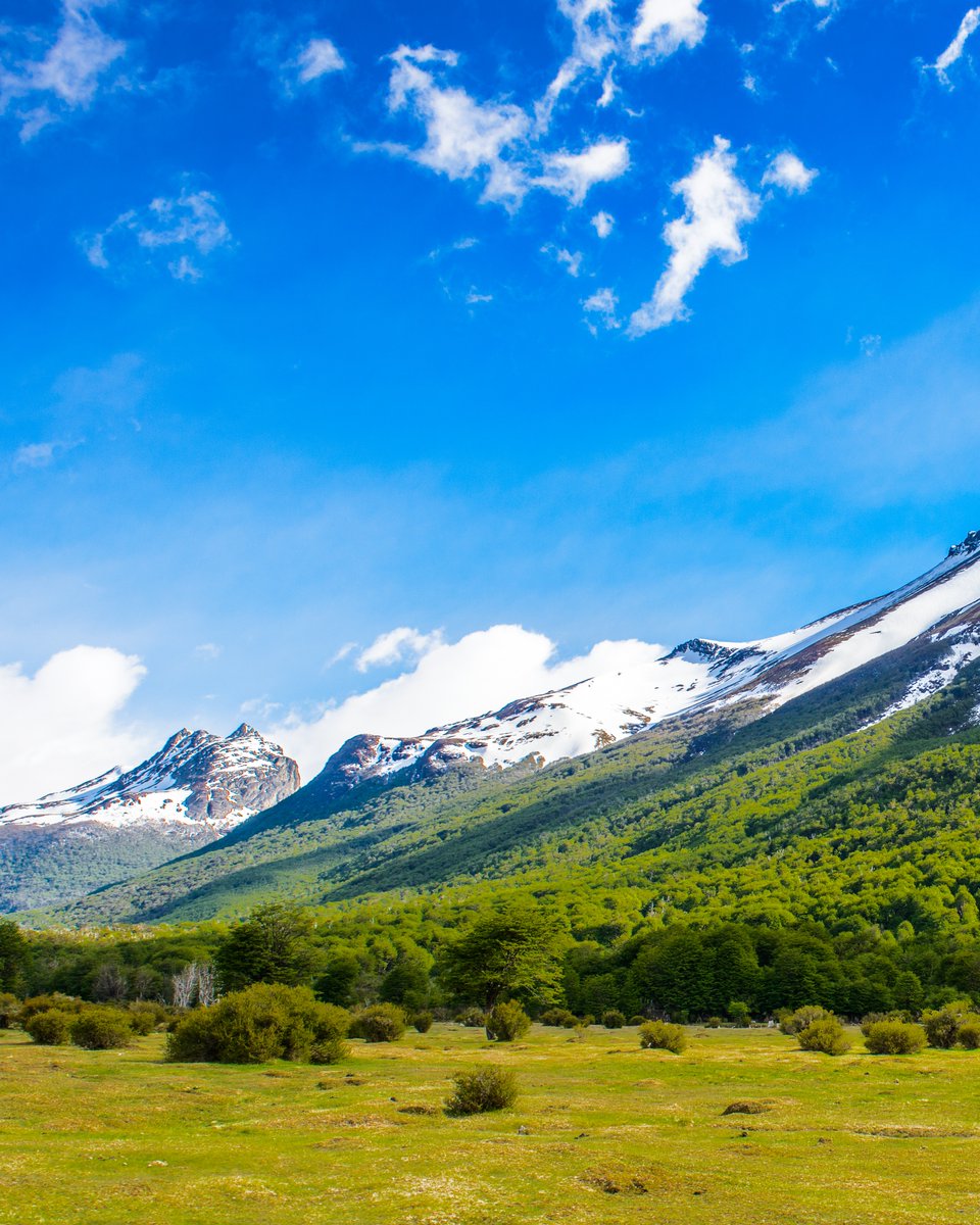 Visit Argentina EN tweet media