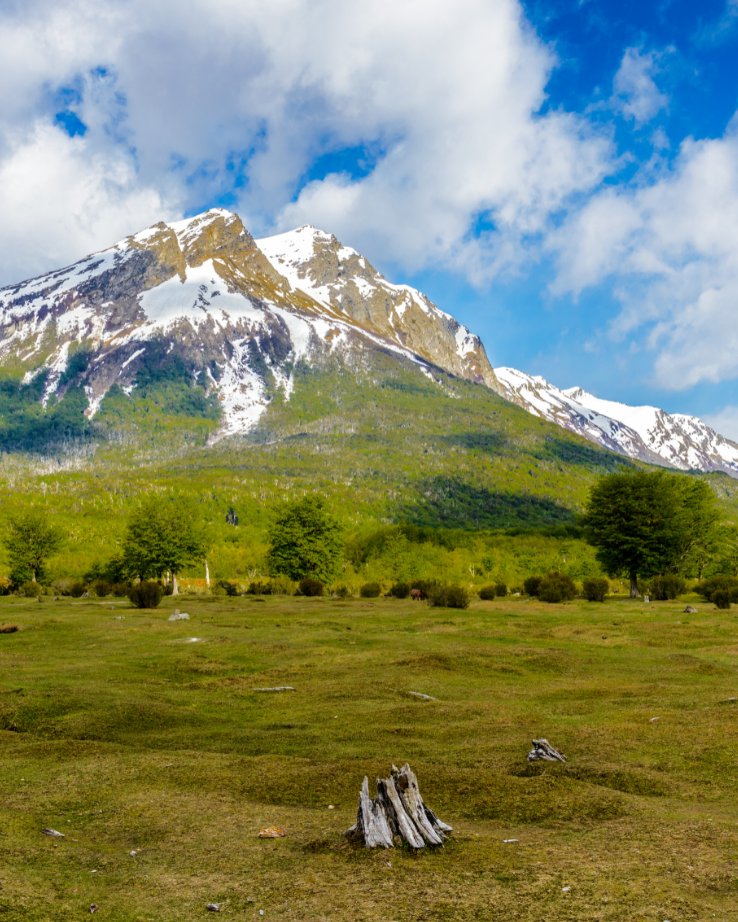 😍🏔📸 Did you know that Tierra del Fuego is beautiful all year around? Discover its beauty in this landscape collection and let a different summer surprise you.

<a href="/TurismoTDF/">Tierra del Fuego - Fin del Mundo</a>